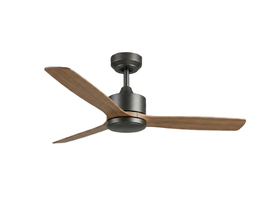 Ceiling Fans